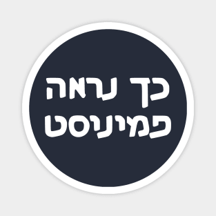 This Is What A Feminist Looks Like (Hebrew, Masculine) Magnet